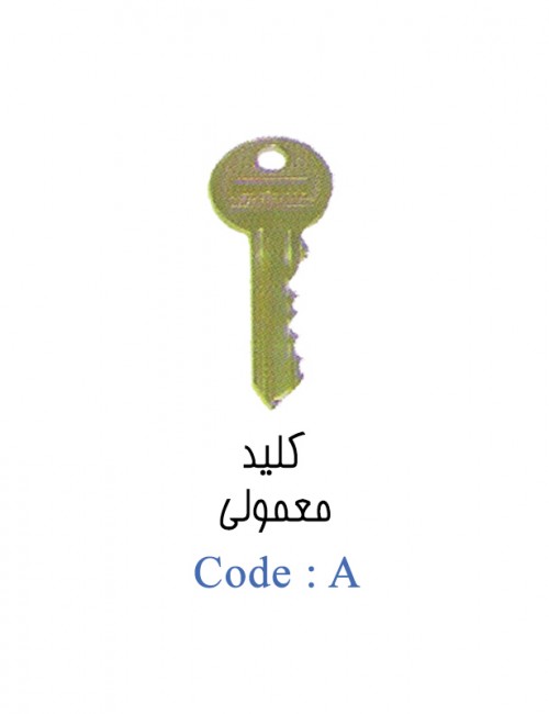 کلید معمولی